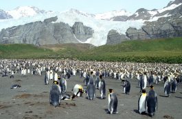 Onde Ficar nas Ilhas Malvinas