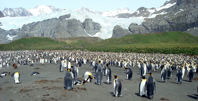 Onde Ficar nas Ilhas Malvinas