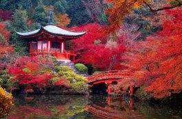 Onde Ficar em Kyoto
