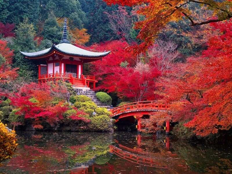 Onde Ficar em Kyoto