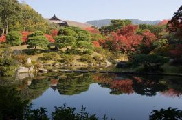 Onde Ficar em Nara no Japão